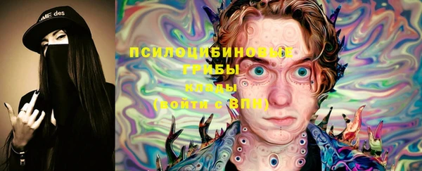 спиды Арсеньев